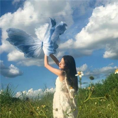 太极魂之初出茅庐